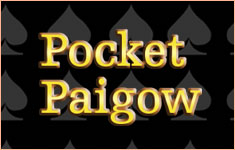 Pocket Paigow